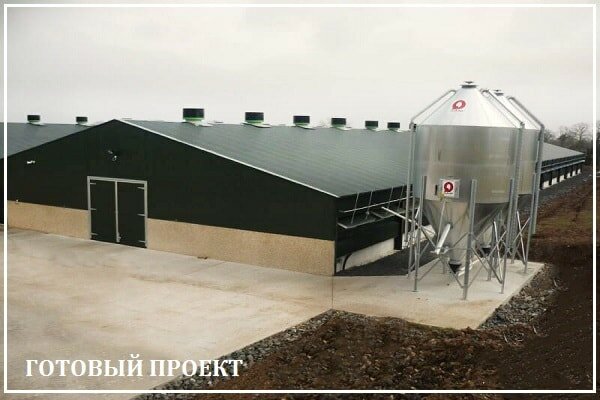 Этапы возведения птицефабрики от завода ВелесТент-длн